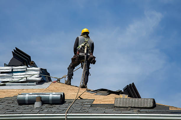Professional Storm Damage Roof Repair technician working in Pandora, OH